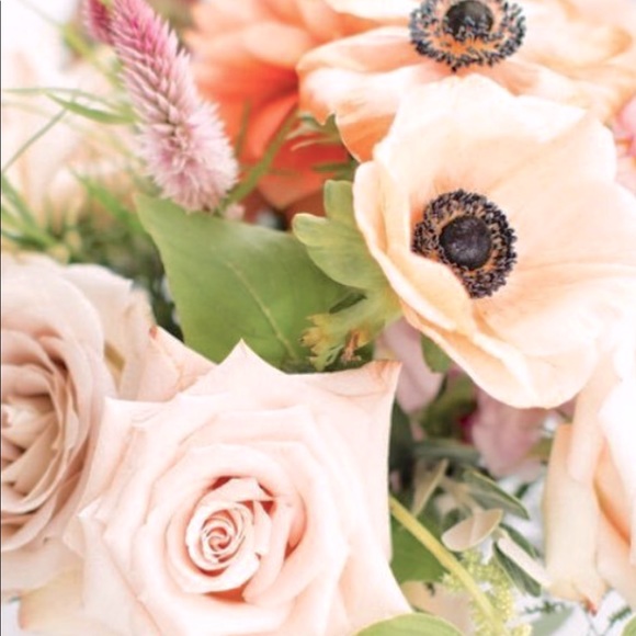 Meet your Posher, Emme - Picture 1 of 1